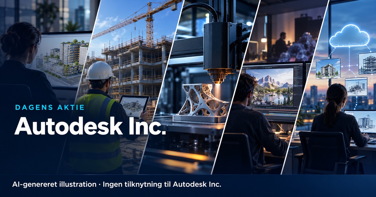 Illustration til analysen af Autodesk Inc.