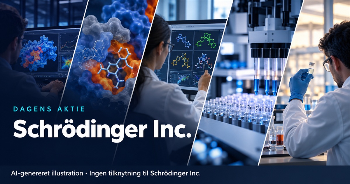 Illustration til analysen af Schrödinger Inc.