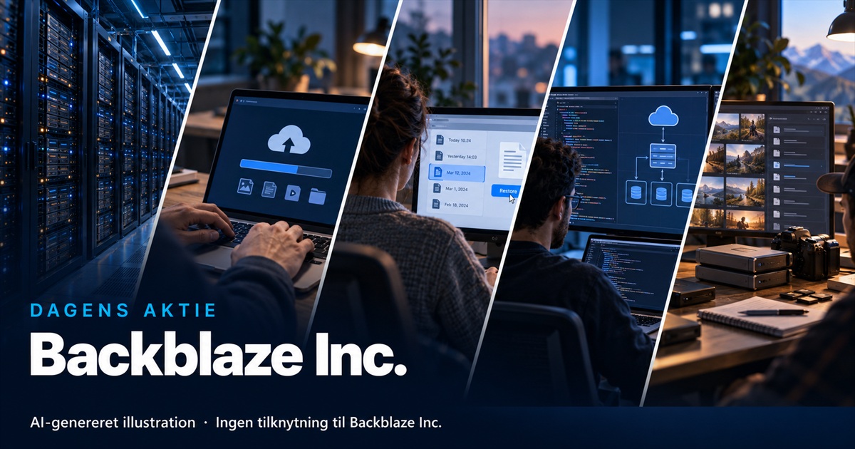 Illustration til analysen af Backblaze Inc.