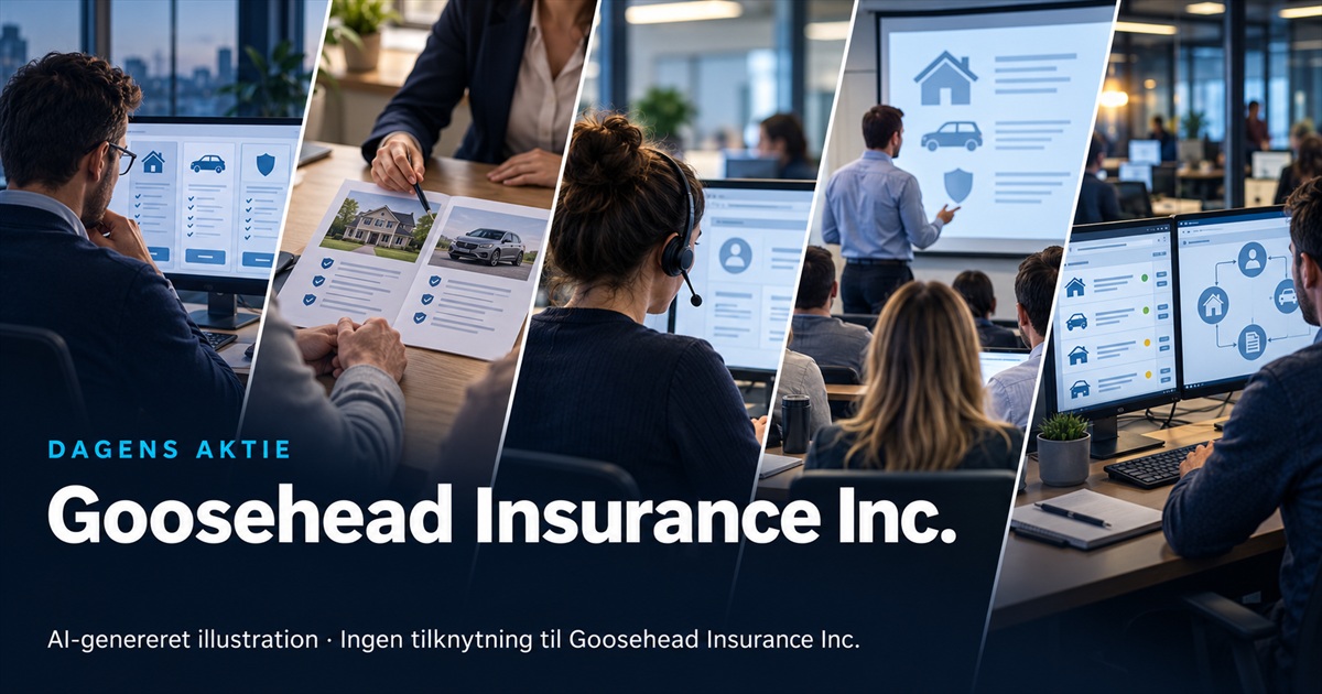 Illustration til analysen af Goosehead Insurance Inc.