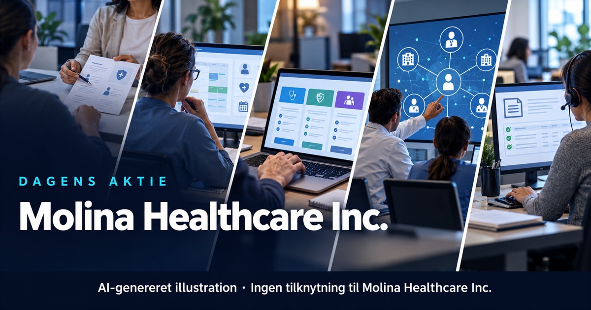 Illustration til analysen af Molina Healthcare Inc.