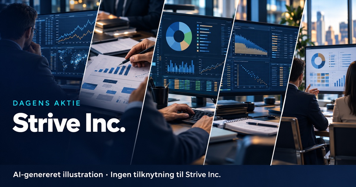 Illustration til analysen af Strive Inc.