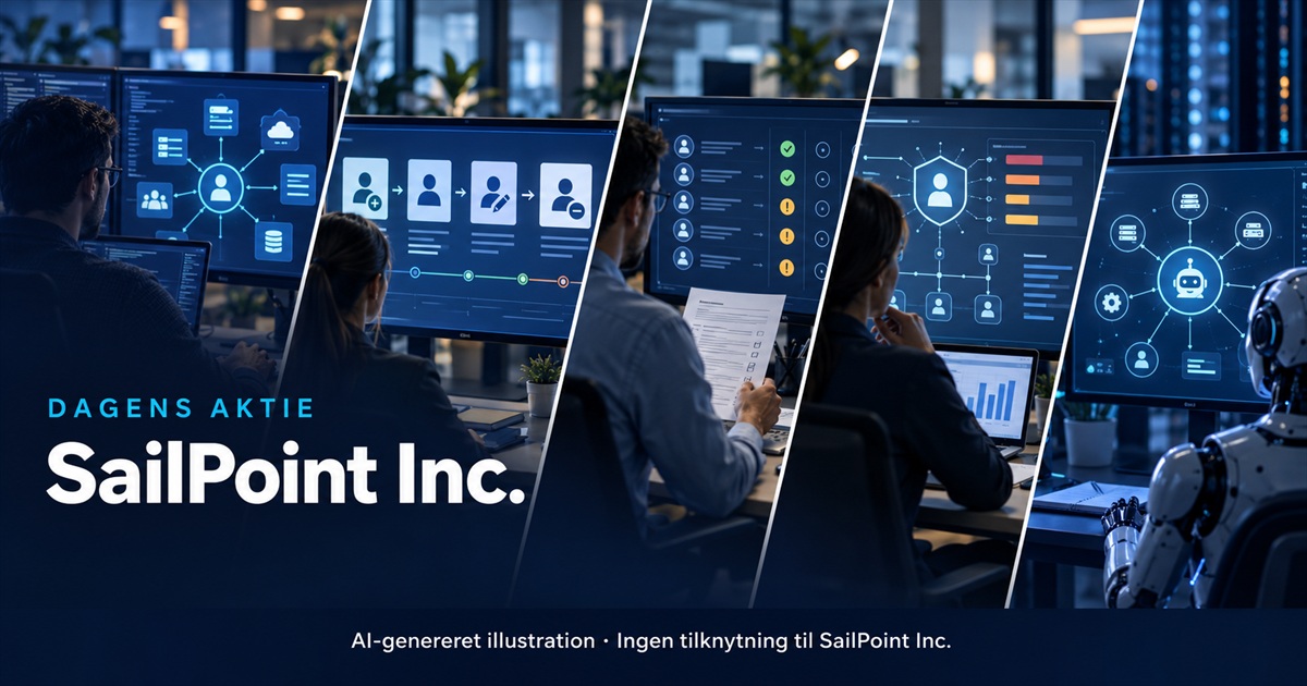 Illustration til analysen af SailPoint Inc.