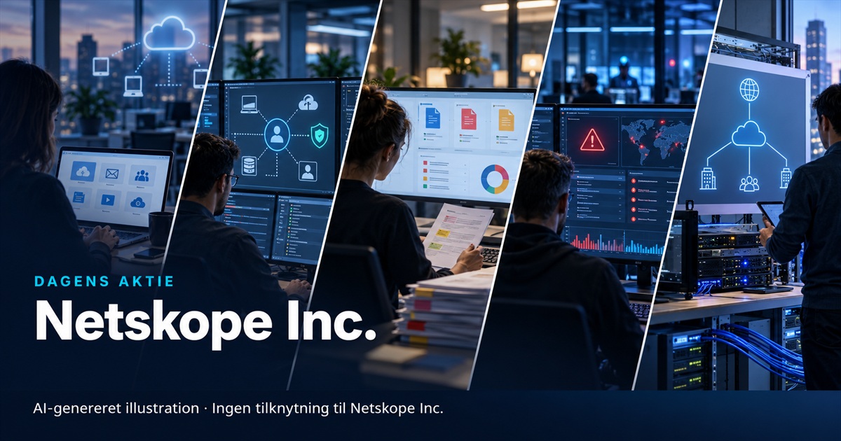 Illustration til analysen af Netskope Inc.