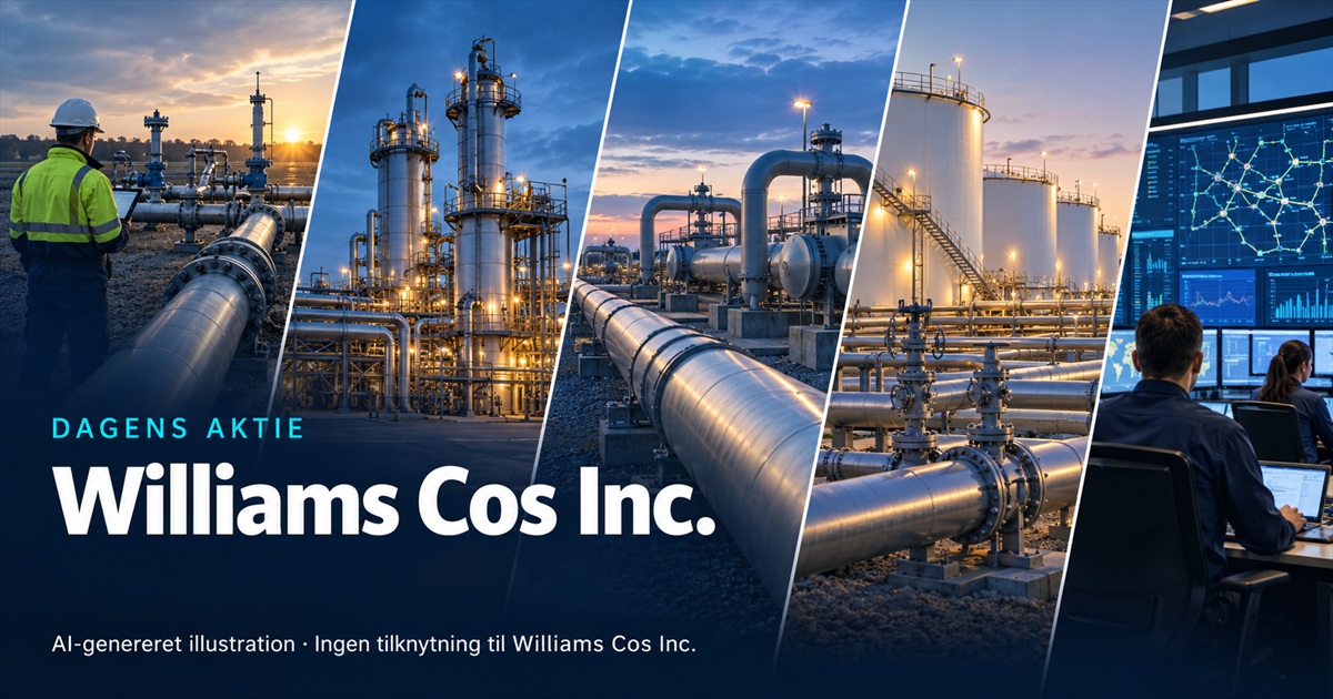 Illustration til analysen af Williams Cos Inc.