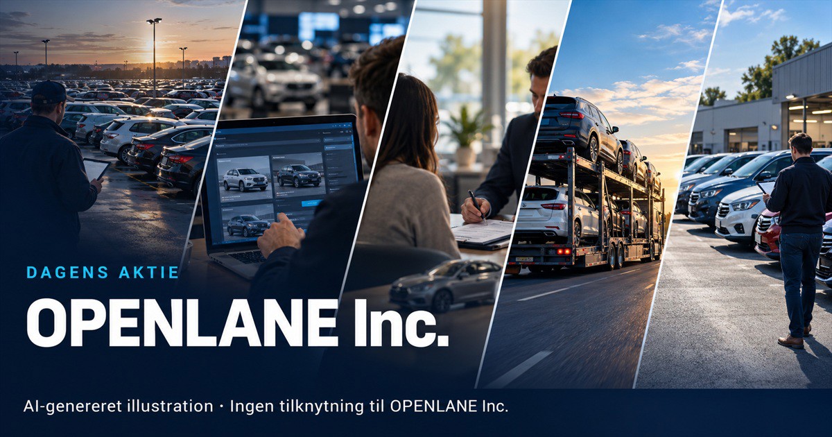 Illustration til analysen af OPENLANE Inc.