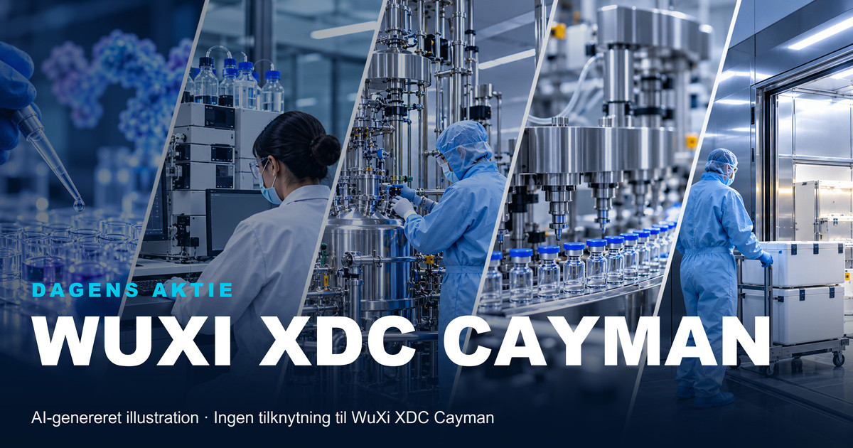 Illustration til analysen af WuXi XDC Cayman