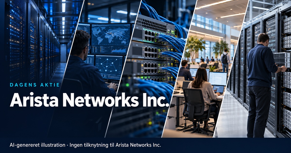 Illustration til analysen af Arista Networks Inc.