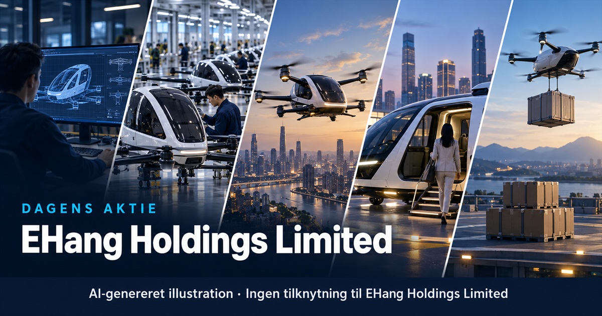 Illustration til analysen af EHang Holdings Limited