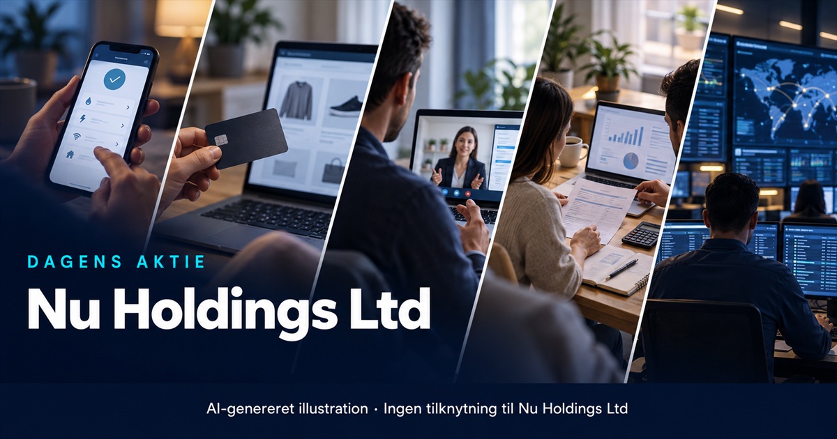 Illustration til analysen af Nu Holdings Ltd