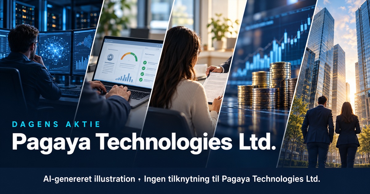 Illustration til analysen af Pagaya Technologies Ltd.
