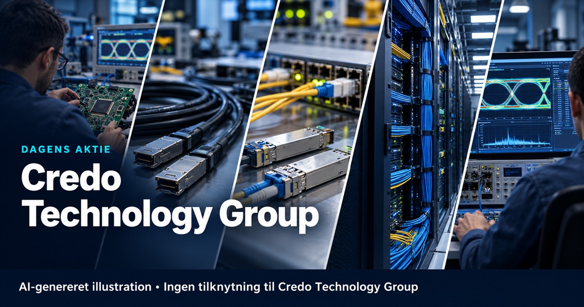 Illustration til analysen af Credo Technology Group