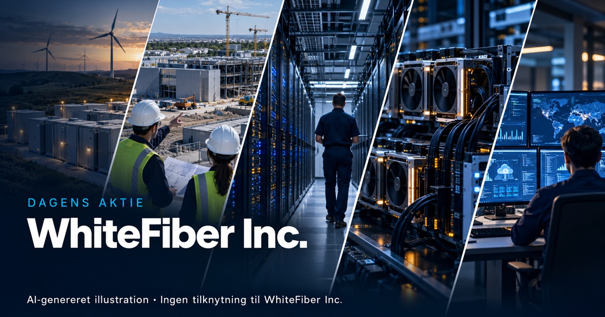 Illustration til analysen af WhiteFiber Inc.