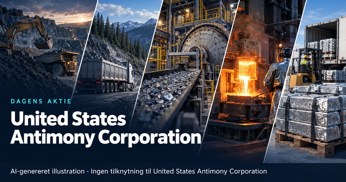 Illustration til analysen af United States Antimony Corporation