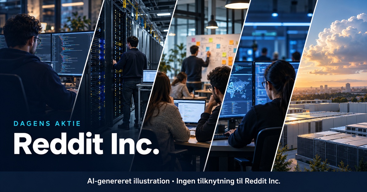 Illustration til analysen af Reddit Inc.