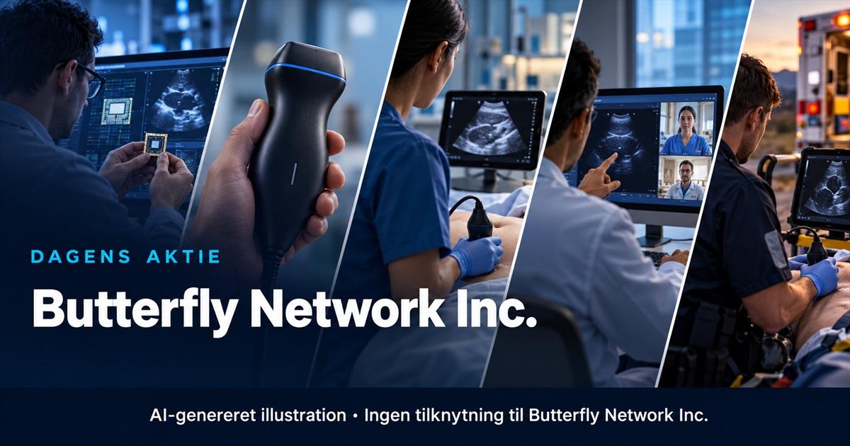 Illustration til analysen af Butterfly Network Inc.