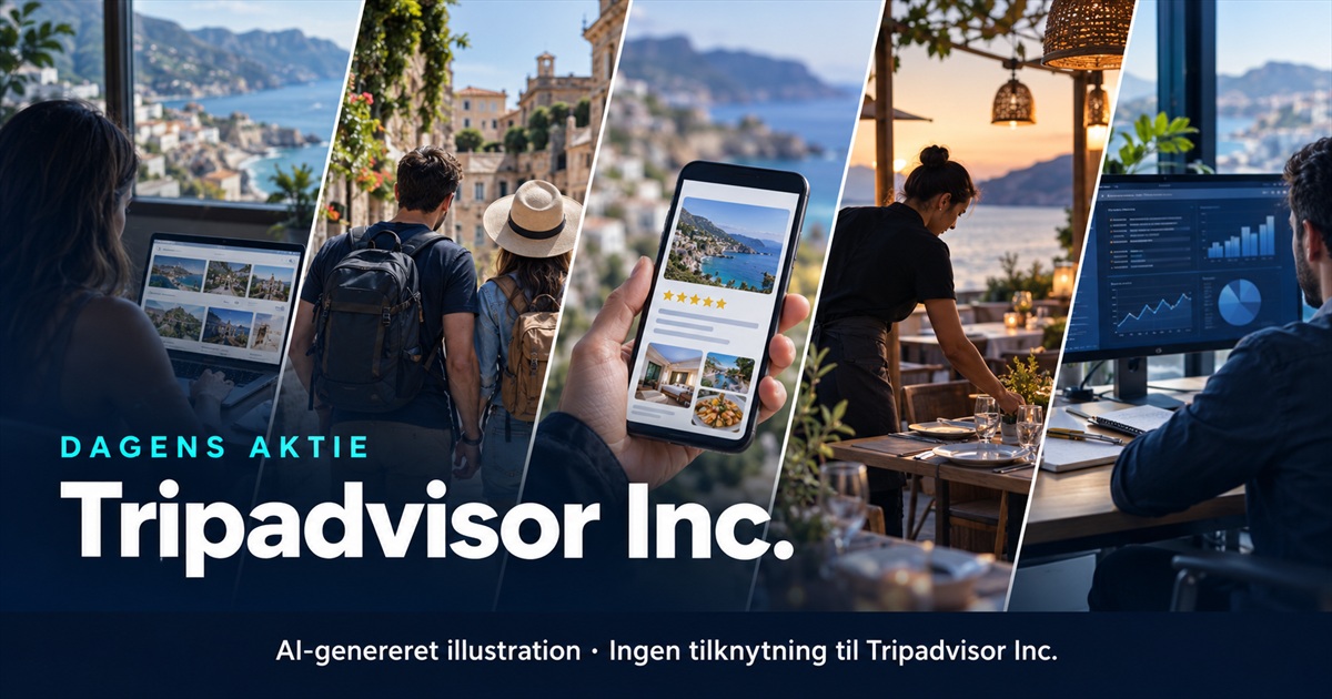Illustration til analysen af Tripadvisor Inc.
